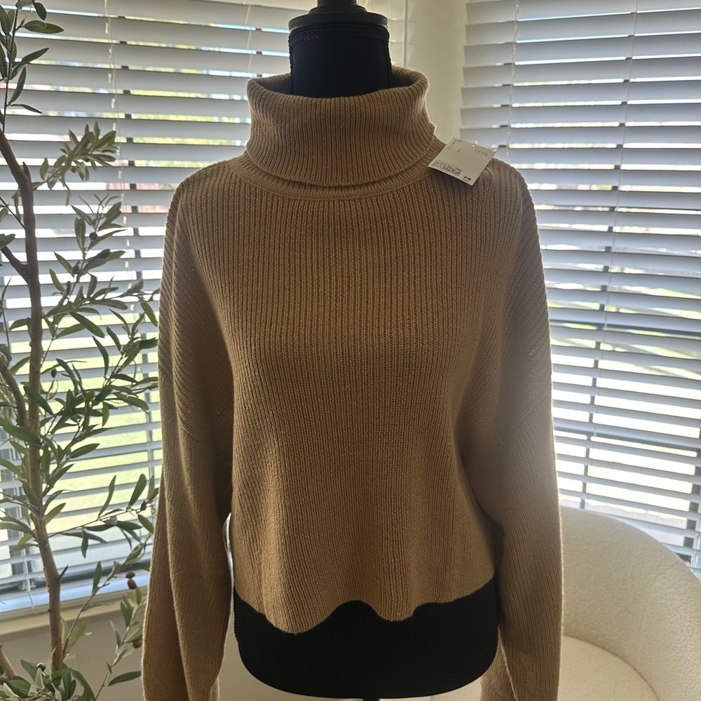 H&M Camel Cowl Neck Sweater